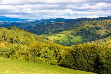Güzel sonbahar öğleden sonraları dağlarda. Yuvarlanan tepelerde ağaçlar. Ukrayna 'nın harika kırsalında benekli ışıkta