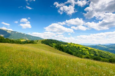 Yazın geniş çayırlı dağ manzarası. Güneşli bir öğleden sonra kabarık bulutlu bir gökyüzü. Çayırdaki yeşil çimenler tepelerin arasından kırsal alanda Ukrayna 'nın uzak Alp Vadisi' ne doğru akıyor.