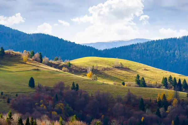 Sonbaharda Karpatlar 'ın manzarası. Yuvarlanan tepelerde orman ve çayır olan dağlık bir arazi. Güneşli bir günde sonbaharda seyahat etmek için güzel bir Ukrayna manzarası.