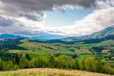 Sonbaharın başlarında seyahat için dağ manzarası. Renkli yeşilliklerle ormanlı alp manzarası. Yuvarlanan tepeleri olan güzel kırsal vadi. Gökyüzünün altındaki bulutlu Karpatlar manzarası