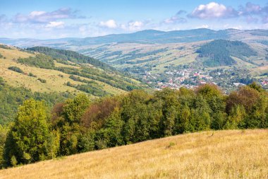 Dağların çimenli tepesinde kırsal alan manzarası. Güneşli bir günde Ukrayna Karpatlarının güzel kırsal bölgeleri. Taşralı Avrupalı. Alp otlaklarının manzarası ve uzak vadi
