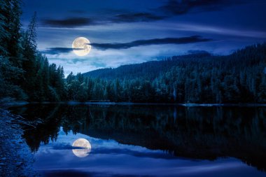 Yazın geceleri orman gölü olan uzak bir dağ manzarası. Dolunay ışığında doğaya yolculuk. Kozalaklı ağaçların suda yansıyan manzarası. Cadılar Bayramı 'nda gizemli tatil