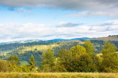 Karpat Dağları 'nda sakin bir sonbahar akşamı. Ormanda macera. Çimenli tepelerdeki ağaçların sarı yapraklarla kaplı olduğu manzara. Ukrayna kırsalının yuvarlanan manzarası mavi gökyüzü altında bulutlu