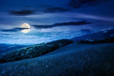 Yazın geceleri geniş çayırlı dağ manzarası. Kara bulutlu gökyüzü. Çayırdaki çimenler, dağların arasından kırsal alanda dolunay ışığında uzak Alp Vadisi 'ne yuvarlanıyor.