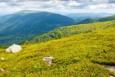 Yazın tepede taşlarla kaplı dağ manzarası. Seyahat için Karpatların doğası. Vadinin güzel manzarası. Bulutlu gökyüzünün altındaki yeşil alp yamacında kumtaşı