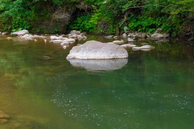 Bitki örtüsü ormanında Lyuta nehri ile doğa manzarası. tatlı su akıntısında kayalar. Yazın vahşi doğa manzarası. Ukrayna 'da seyahat ya da tatil için güzel yeşil çevre