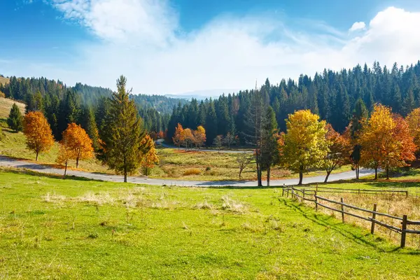 Sonbaharda Ukrayna 'nın kırsal dağ manzarası. Kırsal yol vadi boyunca turuncu yapraklarla kaplı tepede ağaçlar ve tarlalar arasında dolanıyor. Gezi ve açık hava maceraları için sonbahar sezonunda manzara manzarası