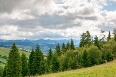 Bulutlu gökyüzü olan dağ manzaralı orman. Carpathian Ormanı. Güzel doğa yolculuğu geçmişi. Alp kırsalının manzarası. Sonbaharın başlarında tepede kozalaklı ağaçlar