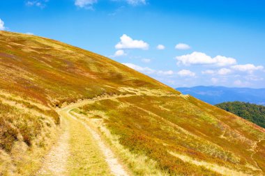 Çimenli Alp Çayırı 'ndan geçen toprak dağ yolu. Sonbahar öğleden sonrası ışığında harika bir açık hava macerası. Transcarpathia, Ukrayna 'nın krasna sırtı boyunca yürüyüş. Mavi gökyüzündeki bulutlar