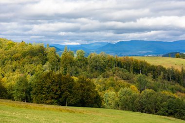 Güzel sonbahar öğleden sonraları dağlarda. Yuvarlanan tepelerde ağaçlar. Ukrayna 'nın harika kırsalında benekli ışıkta