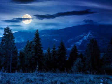 Geceleri dağlardaki çimenli çayırlarda her yer yemyeşil. Uzak vadisi olan güzel bir manzara. Dolunay ışığında inanılmaz bir manzara.