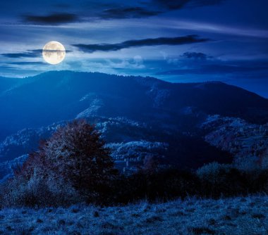 Sonbahar geceleri dağ manzarası. Kırsal alanları ve renkli yaprak döken ağaçlarıyla dağlık alanlarda güzel bir kırsal. Dolunay ışığında dönen tepeler