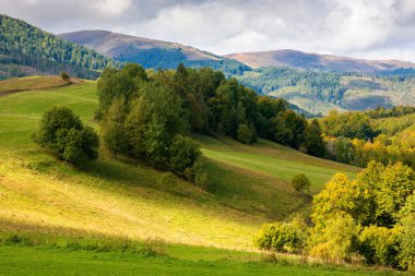 Tepenin tepesindeki ağaçların benekli ışıklarıyla manzarası. Eylül 'de Ukrayna' nın dağlık kırsalında. Bulutlu gökyüzünün altında sersemletici borzhava sırtı
