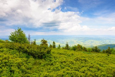 Yeşil tepeli ve bulutlu gökyüzü olan manzaralı yaz manzarası. Yokuştan vadiye kadar manzara. Karpatya dağlarında kırsal tatil