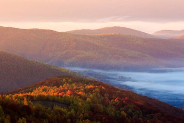 Gün doğumunda dağ yamacında yaprak döken orman. Karpat Vadisi 'nin sisli güzel manzarası. Ukrayna 'nın sonbahar manzarası