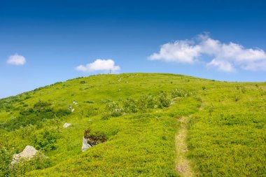 Yazın dağ manzarası. Yeşil tepe ve mavi gökyüzü. Öğleden sonra güneşli bir havada Ukrayna 'nın dağlık manzarasında seyahat etmek için doğal manzara. Karpat dağının huzurlu manzarası pürüzsüz