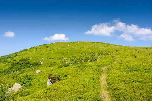 Yazın dağ manzarası. Yeşil tepe ve mavi gökyüzü. Öğleden sonra güneşli bir havada Ukrayna 'nın dağlık manzarasında seyahat etmek için doğal manzara. Karpat dağının huzurlu manzarası pürüzsüz