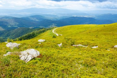 Yazın tepede taşlarla kaplı dağ manzarası. Seyahat için Karpatların doğası. Vadinin güzel manzarası. Bulutlu gökyüzünün altındaki yeşil alp yamacında kumtaşı