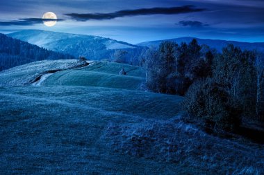Sonbaharda geceleri kırsal dağ manzarası. Tepenin üzerinde renkli yapraklar içinde ağaçlar. Bulutsuz mavi gökyüzünün altında, dolunay ışığında kırsal bir manzara. Sonbahar mevsiminde gizemli seyahat
