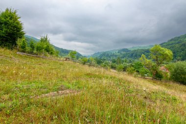 Yazın bulutlu gökyüzü olan kırsal alan. Çimenli tepedeki orman. Bulutlu hava tahmini. Karpatya dağlarındaki uzak kırsal manzara