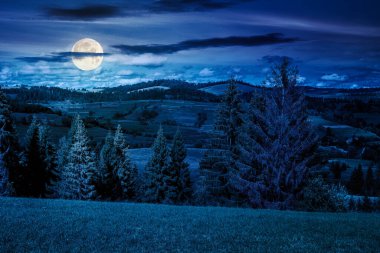 Dağlık Karpat kırsal arazisi geceleri. Manzaralı kırsal vadi. Çimenli dağlık çayır. Tepedeki orman. Yükseklerdeki tatiller Dolunay ışığında