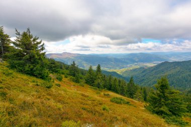 Dağ sırasının yamacında kozalaklı orman ve çayır var. Yukarıdan uzak kırsal vadiye bak. Sonbaharda Transcarpathia 'nın güzel kırsal manzarası