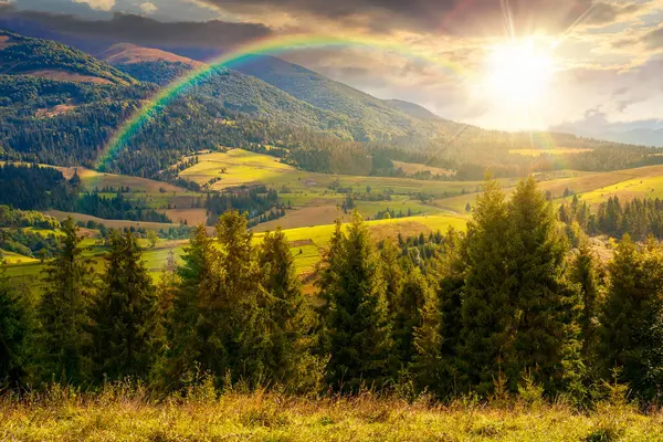 Çimenli çayırın arkasındaki ladin ormanı gün batımında. Sonbaharın başlarında, dağlarda. Tepedeki bulutlar. Açık hava maceraları ve yürüyüş sezonu. Akşam ışığında gökkuşağı altında alp manzarası