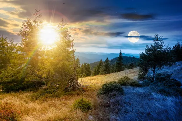 Tepedeki bir çayırdaki köknar ağaçları dağlardaki kozalaklı ormanlara kadar. Gündüz ve gece zaman kavramını değiştirir. Sonbaharın başlarında bulutlu gökyüzünün altındaki dağlık arazi ve alacakaranlıkta güneş ve ay.