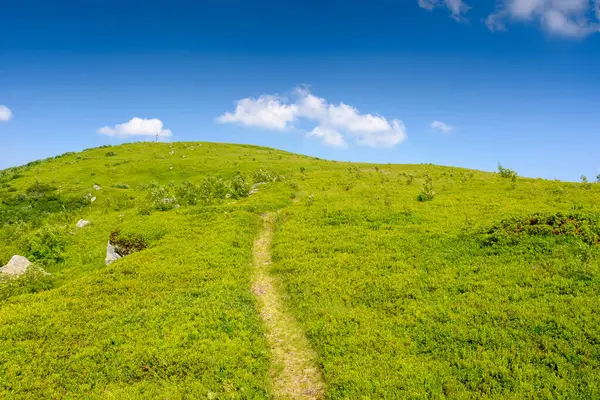 Yazın dağ manzarası. Yeşil tepe ve mavi gökyüzü. Öğleden sonra güneşli bir havada Ukrayna 'nın dağlık manzarasında seyahat etmek için doğal manzara. Karpat dağının huzurlu manzarası pürüzsüz