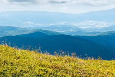 Yazın Ukrayna 'nın kayan dağlık dağlık arazisi olan doğa manzarası. Yamaçtaki yemyeşil çayır. Çimenli yamaçlı, benekli ışıkla kaplı Karpatya dağ manzarası. uzak yer