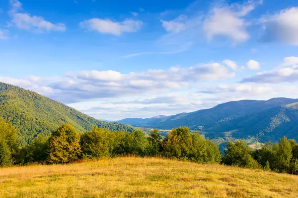 Sonbaharda tepenin üzerinde ormanlar olan dağ manzarası. Kolochava köyünün kırsal kesiminin güzel manzarası. Akşamüstü gökyüzü altında bulutlu Ukrayna kırsal manzarası