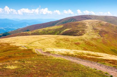 Yazın sonlarında Borzhava Tepesi manzarası. Açık hava macerası. Güneşli bir öğleden sonra, Karpatlar 'ın dağlık alp manzarası. Çimenli çayırlar ve yuvarlanan tepeler. Ukrayna 'ya git. güzel manzara