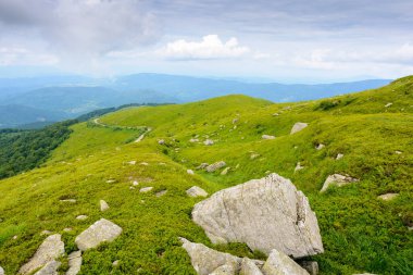 Bulutlu bir günde Ukrayna dağının güzel doğası. Tepelerde kaya ve çimlerle yürüyüş yapmak. Yukarıdan uzak vadiye doğru görüş.