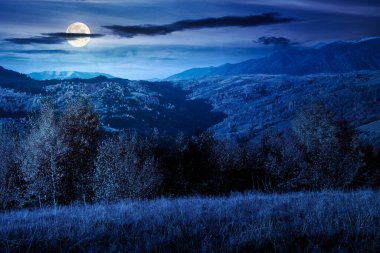 Sonbahar geceleri dağ manzarası. Kırsal alanları ve renkli yaprak döken ağaçlarıyla dağlık alanlarda güzel bir kırsal. Dolunay ışığında dönen tepeler
