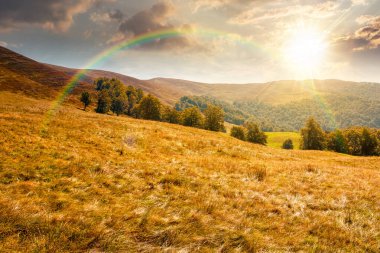 Gün batımında dağlarda sakin bir sonbahar günü. Akşamüstü tepedeki çimenli tepelerde yaprak döken ağaçlar. Sonbahar mevsiminde, bulutlu mavi gökyüzünün altında güneşli dağ manzarası. Doğadaki güzellik kavramı