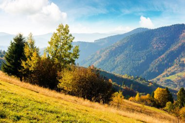 Dağ manzarasında güneşli bir sonbahar öğleden sonrası. Tepenin yamacındaki sonbahar yapraklarının güzel manzarası. Ukrayna 'nın karpatlar kırsalında güneşli bir günde mavi gökyüzünün altında