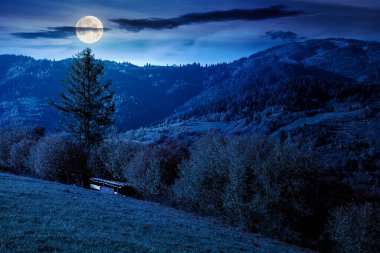 Sonbahar geceleri dağ manzarası. Tepenin yamacındaki sonbahar yapraklarının güzel manzarası. Karanlık gökyüzünün altında, dolunay ışığında kırsal alan. Yokuştaki korkutucu ormanın manzarası