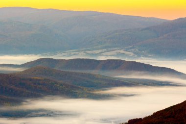 Gün doğumunda dağ yamacında yaprak döken orman. Karpat Vadisi 'nin sisli güzel manzarası. Ukrayna 'nın sonbahar manzarası