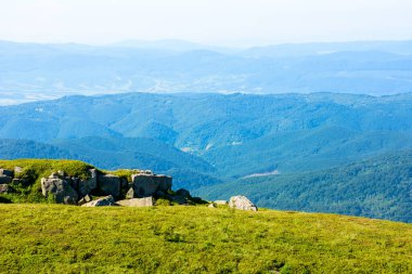 Yazın Alpler 'in güzel manzaralı dağ manzarası. Güneşli bir günde mavi gökyüzünün altında yeşil alp çayırı. Karpat Dağları 'ndaki cennet manzarası Çimenli tepeler sabah taze