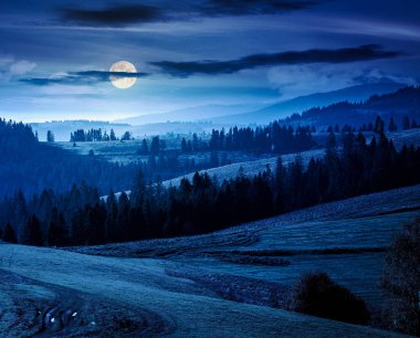 Sonbaharda çimenli tepede geceleri orman. Yuvarlanan otlaklı güzel kırsal manzara. Dolunay ışığında dağlık bir kırsal. Sıcak Ekim havası