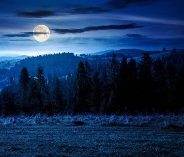 Sonbaharda geceleri dağların kırsal kesiminde. Tepenin yamacından gözlenen dolunay ışığında harika bir dağlık arazi. Spruce Ormanı yakınlarındaki yuvarlanan tepelerdeki çayırlar. alp seyahat hedefi