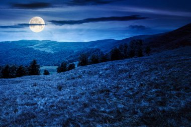 Geceleri dağlarda sakin bir sonbahar günü. Tepenin çimenli tepelerinde dolunay ışığında yaprak döken ağaçlar. Sonbahar mevsiminde, bulutlu karanlık gökyüzünün altında alp manzarası. Doğadaki güzellik kavramı