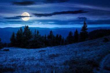 Tepedeki bir çayırdaki köknar ağaçları geceleri dağlardaki kozalaklı ormanlara kadar uzanıyor. Dağlık arazi bulutlu gökyüzünün altında sonbaharın başlarında dolunay ışığında