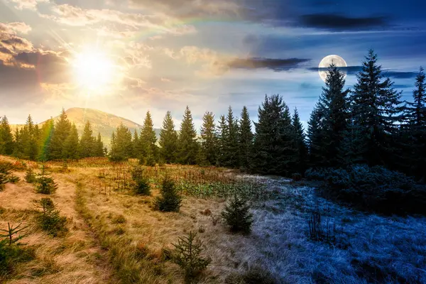 Çayırdaki köknar ağaçları. Gündüz ve gece zaman kavramını değiştirir. Gökyüzünün altındaki dağlarda kozalaklı ormanlarla, alacakaranlıkta güneş ve ay olan doğal manzara. güzel alp manzarası