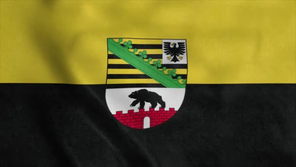 Прапор Саксонії Ангальта Німеччина Розмахуючи Вітром Реалістичне Тло — стокове відео