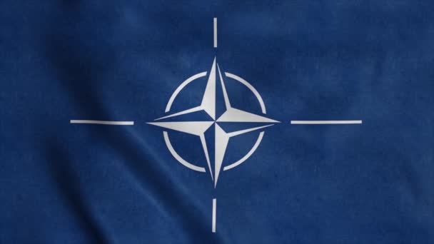 북대서양 North Atlantic Treaty Organization Nato 조직의 바람에 — 비디오