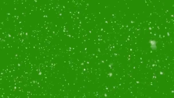 Nieve Realista Cayendo Sobre Fondo Pantalla Verde Efecto Nieve Invierno — Vídeos de Stock