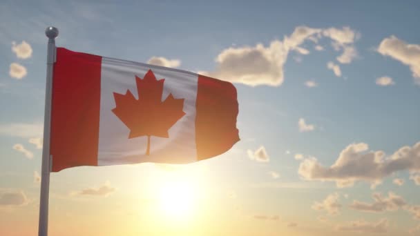 Bandeira Canadá Acenando Vento Fundo Azul Céu — Vídeo de Stock