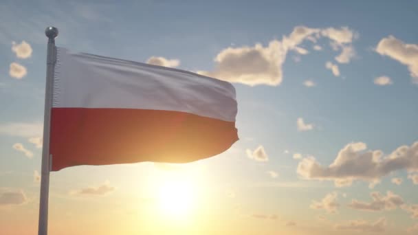 Polská Vlajka Vlnící Větru Obloze Slunečním Pozadí — Stock video