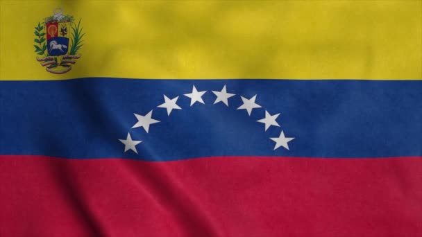 Εθνική Σημαία Της Βενεζουέλας Κυματίζει Στον Άνεμο Σημάδι Της Βενεζουέλας — Αρχείο Βίντεο